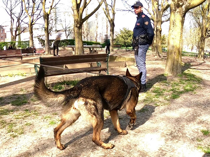Al Parco della Resistenza di Formigine arrivano le unità cinofile