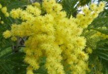 8 Marzo a San Lazzaro: parole, musica e teatro per raccontare identità e diritti