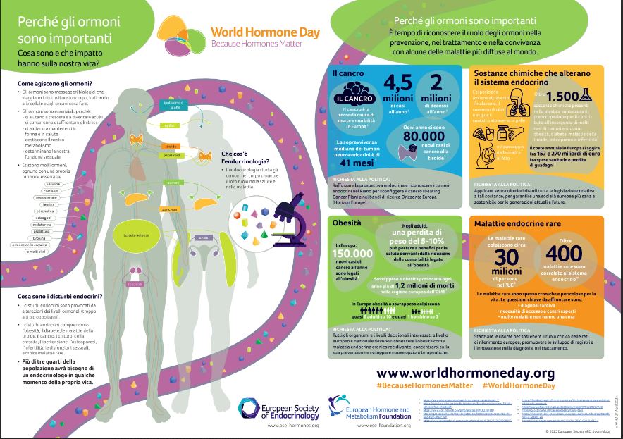 World Hormone Day, AME accende i riflettori sugli interferenti endocrini World Hormone Day, AME accende i riflettori sugli interferenti endocrini