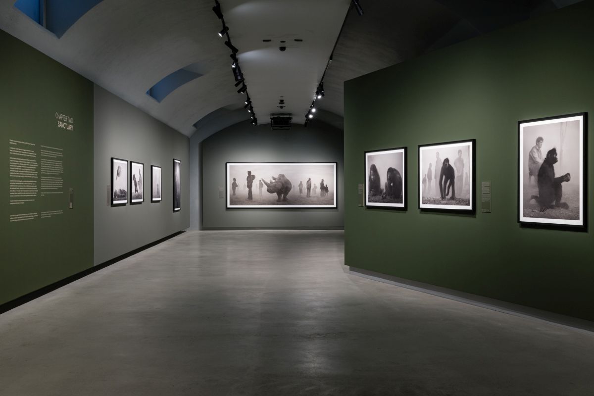 Alle Gallerie d’Italia di Torino la mostra “Nick Brandt”